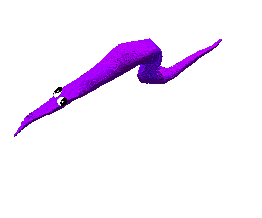 Worm